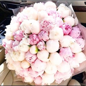 Meet your Posher, Claudette